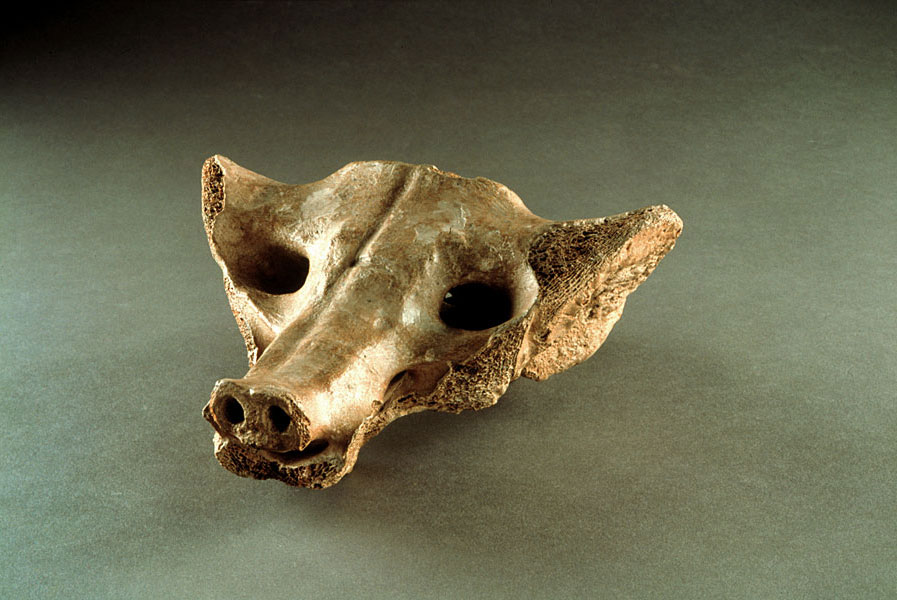 sacrum