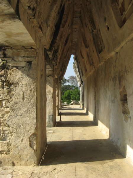palenque110.jpg