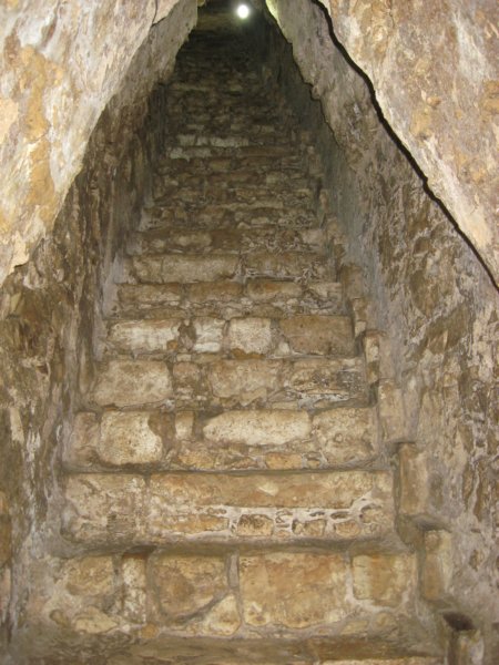 palenque54.jpg