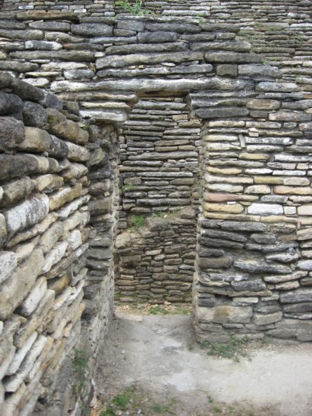 tonin110.jpg
