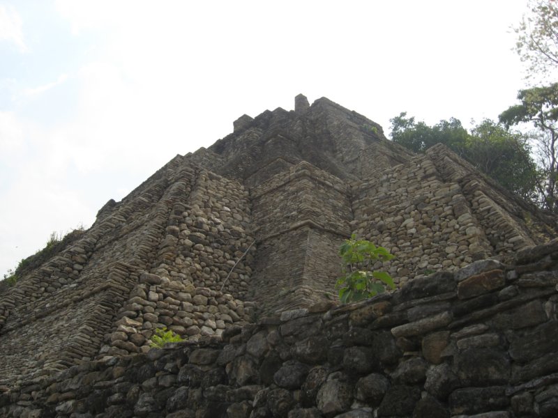 tonin238.jpg