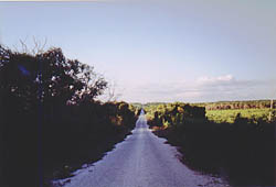 Road to Calakmul