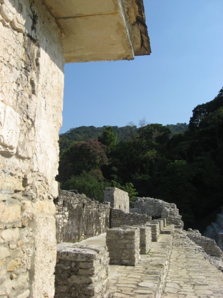 palenque102.jpg