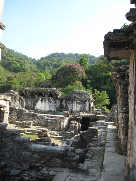 palenque116.jpg