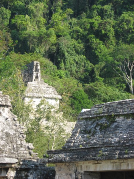 palenque145.jpg