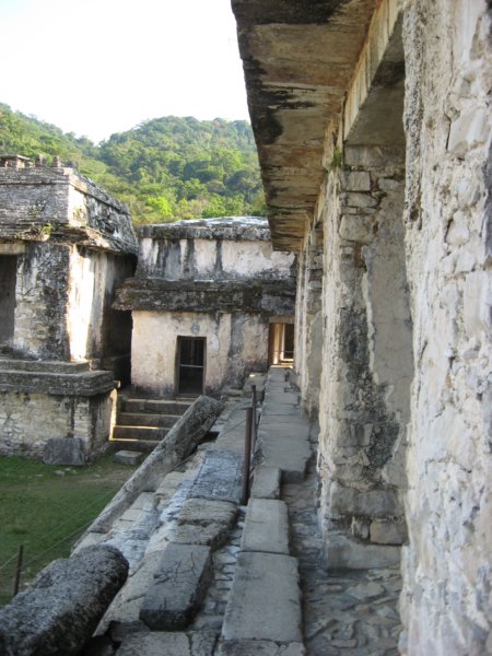 palenque146.jpg