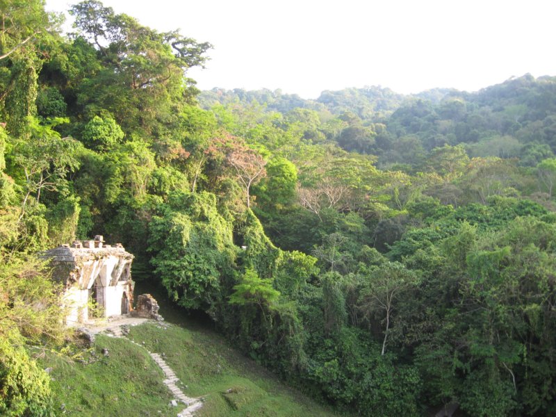 palenque149.jpg