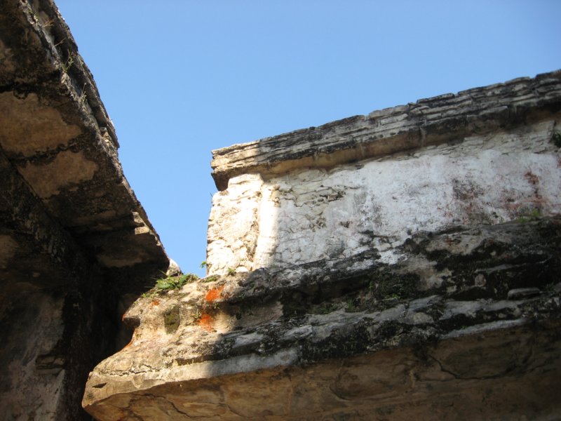 palenque170.jpg