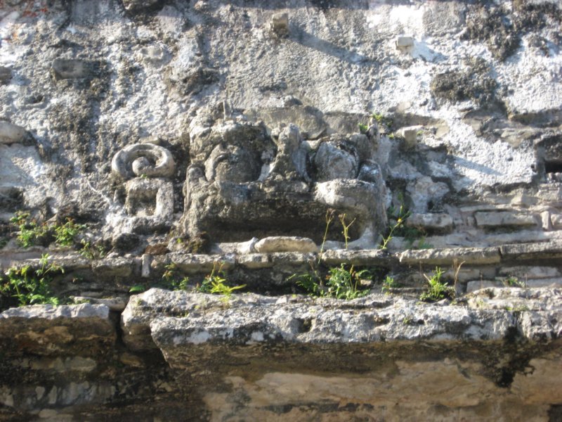 palenque174.jpg