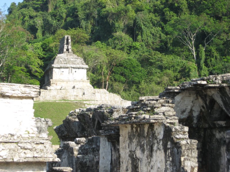 palenque186.jpg