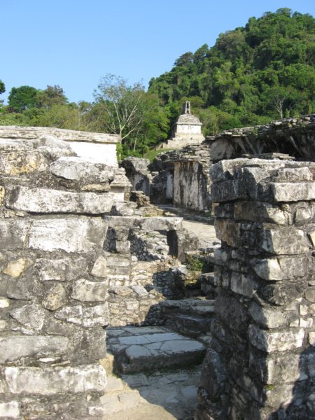 palenque188.jpg