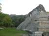 palenque221_small.jpg