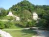 palenque240_small.jpg