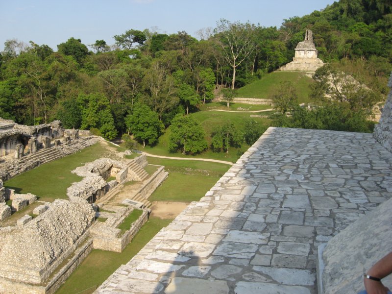 palenque242.jpg