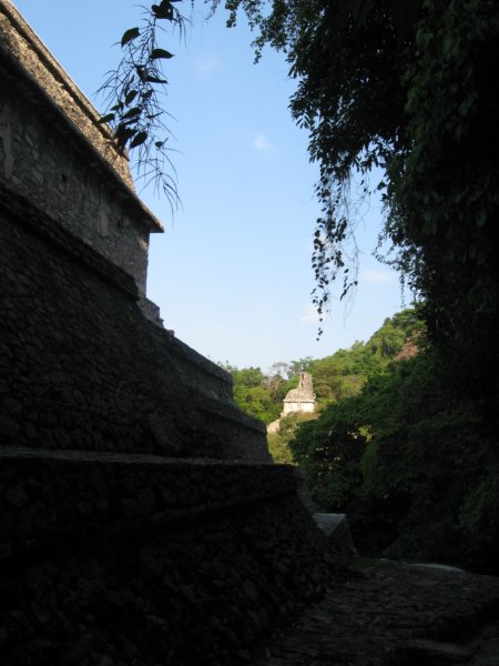 palenque25.jpg