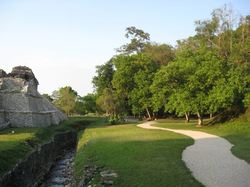 palenque250.jpg