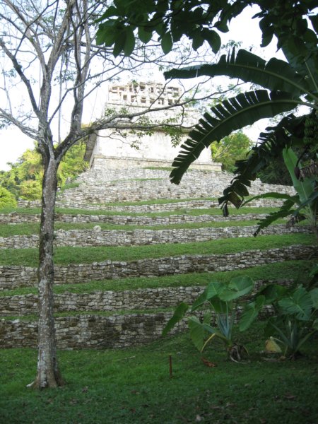 palenque253.jpg