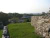 palenque293_small.jpg