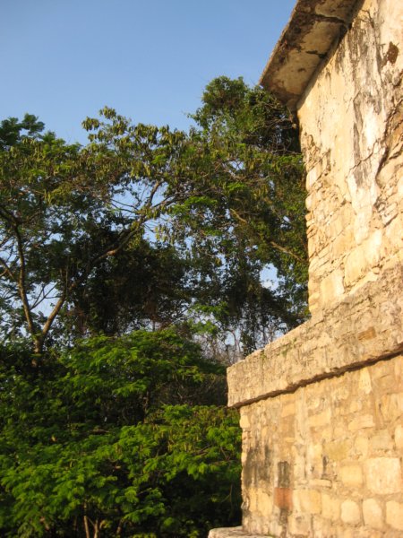 palenque302.jpg