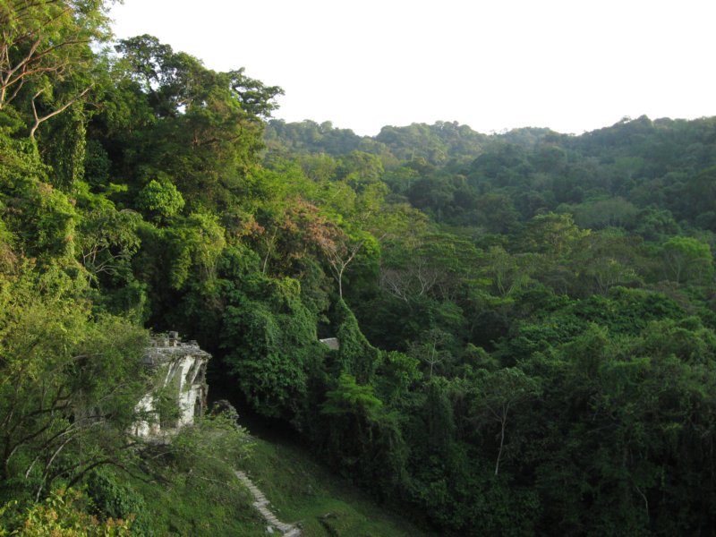 palenque318.jpg