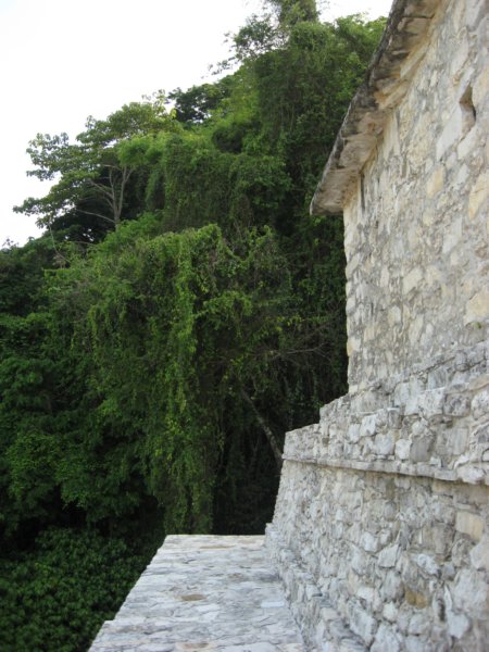 palenque33.jpg