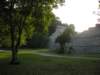 palenque334_small.jpg