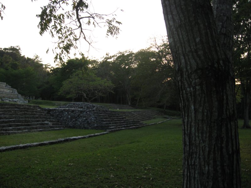 palenque348.jpg