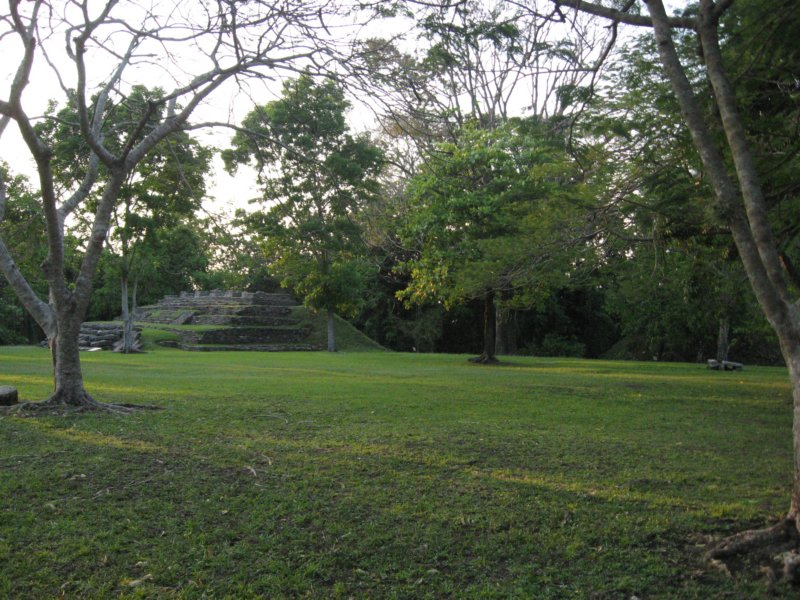 palenque350.jpg