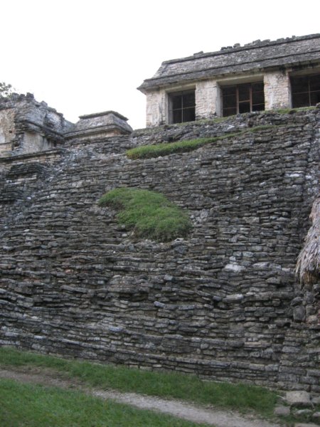 palenque366.jpg