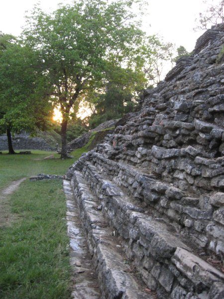 palenque367.jpg