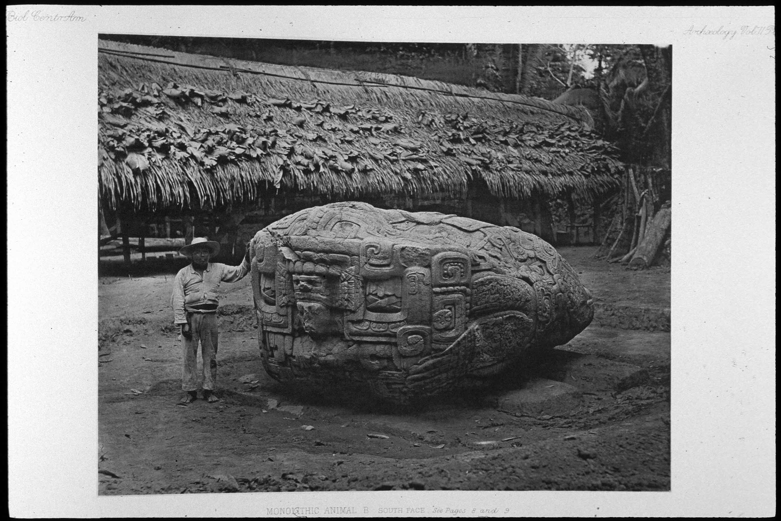 В 19 веке в колумбии археологи. Каменная голова из Гватемалы. Каменная голова в джунглях Гватемалы. Каменнаямголова в Гватемале. Загадка гигантской каменной головы в Гватемале.